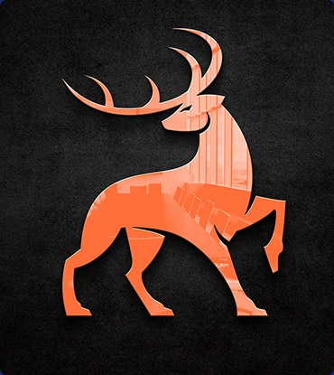 Portfolyo Başlık 1